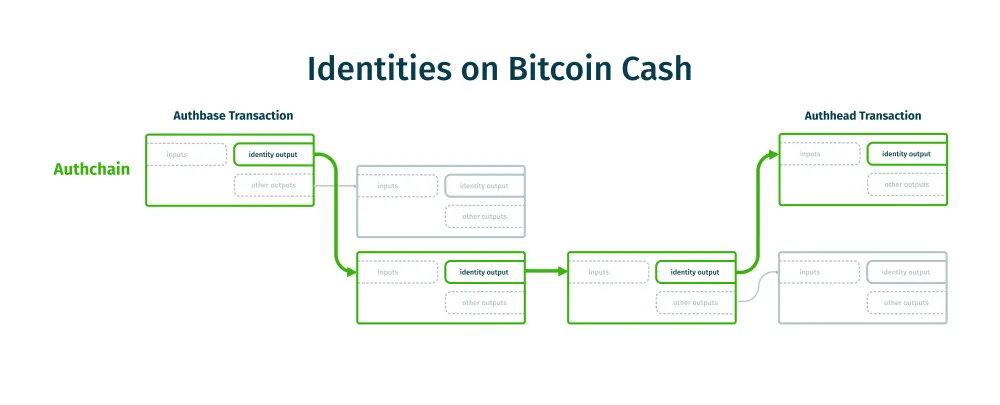 Source: https://cashtokens.org/docs/bcmr/chip/#zeroth-descendant-transaction-chains