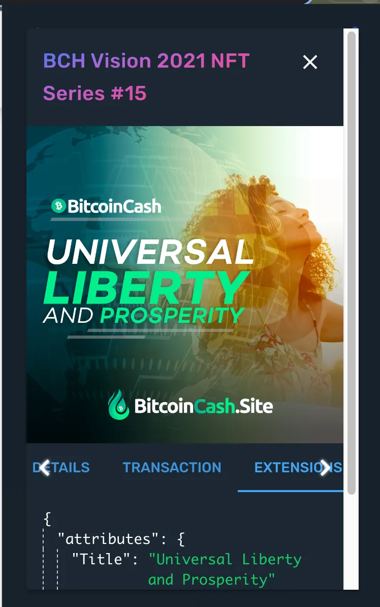 NFT attributes in Paytaca wallet