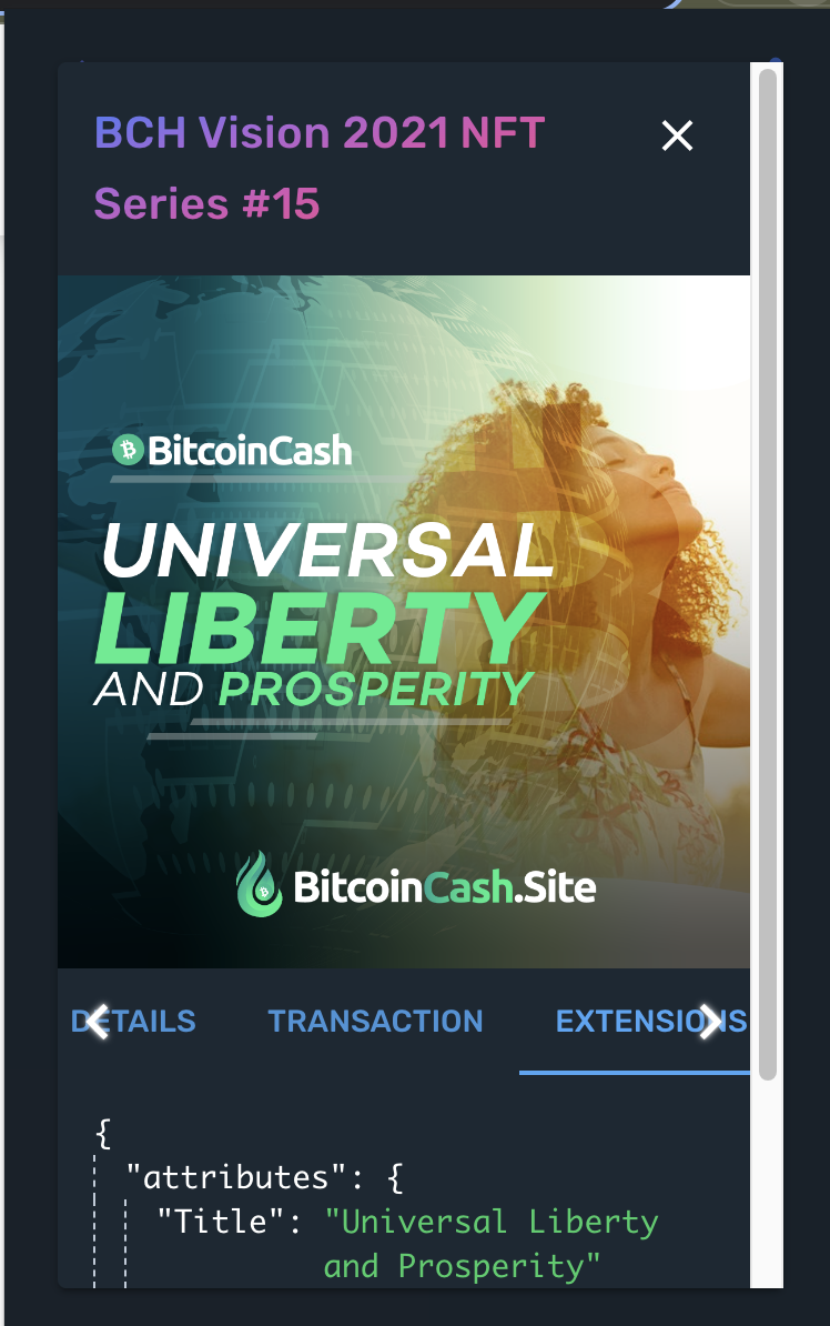 NFT attributes in Paytaca wallet