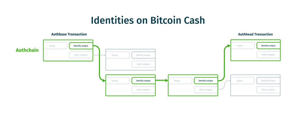 Source: https://cashtokens.org/docs/bcmr/chip/#zeroth-descendant-transaction-chains